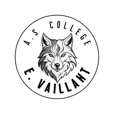 logo vaillant complet.png